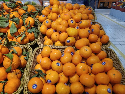 柑橘上市旺季,经过沃柑产地,对农产品销售的一点感想