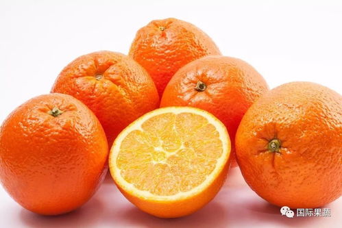 江南市场报告 12 11 12 17 柑橘类扮演销售中坚力量 智利樱桃供应量大幅提升